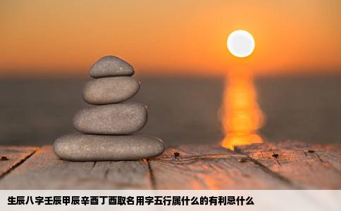 生辰八字壬辰甲辰辛酉丁酉取名用字五行属什么的有利忌什么