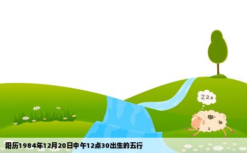 阳历1984年12月20日中午12点30出生的五行