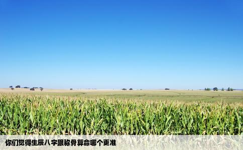 你们觉得生辰八字跟称骨算命哪个更准