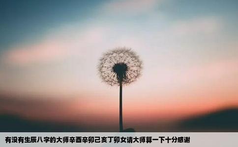 有没有生辰八字的大师辛酉辛卯己亥丁卯女请大师算一下十分感谢