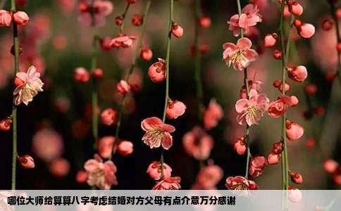 哪位大师给算算八字考虑结婚对方父母有点介意万分感谢
