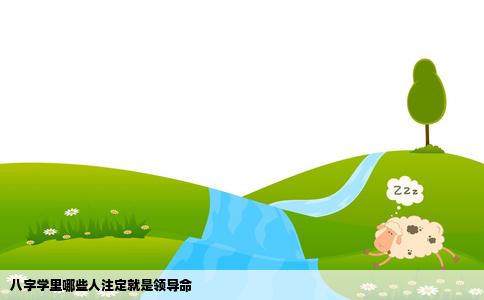八字学里哪些人注定就是领导命