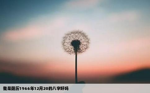 我是阴历1966年12月20的八字好吗