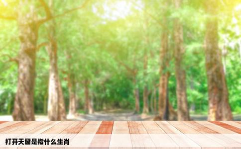 打开天窗是指什么生肖