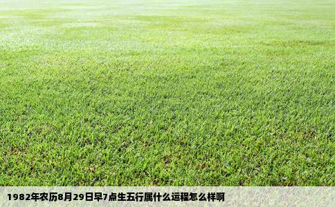 1982年农历8月29日早7点生五行属什么运程怎么样啊