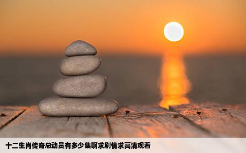 十二生肖传奇总动员有多少集啊求剧情求高清观看