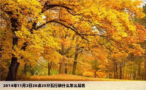 2014年11月2日20点25分五行缺什么怎么起名