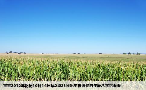 宝宝2012年阳历10月14日早2点23分出生按照他的生辰八字给看看