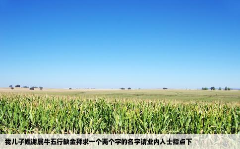 我儿子姓谢属牛五行缺金拜求一个两个字的名字请业内人士指点下