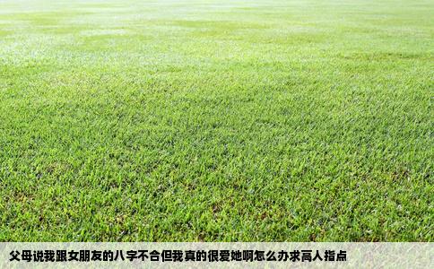 父母说我跟女朋友的八字不合但我真的很爱她啊怎么办求高人指点