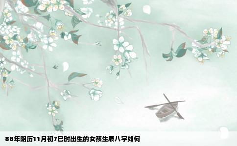 88年阴历11月初7巳时出生的女孩生辰八字如何