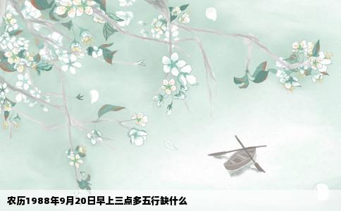 农历1988年9月20日早上三点多五行缺什么