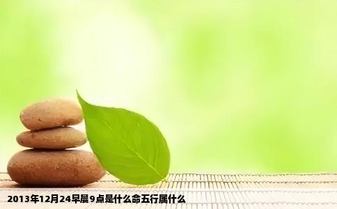 2013年12月24早晨9点是什么命五行属什么