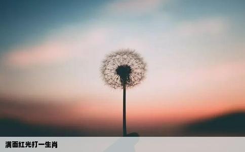 满面红光打一生肖