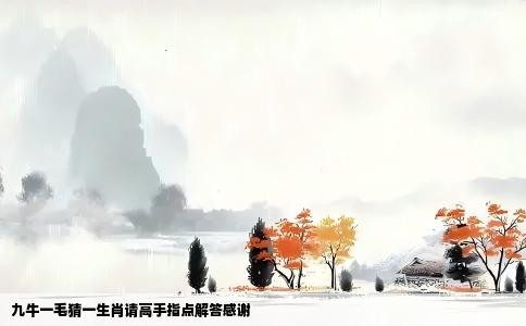 九牛一毛猜一生肖请高手指点解答感谢