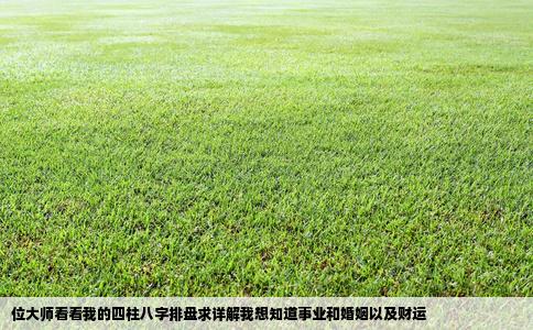 位大师看看我的四柱八字排盘求详解我想知道事业和婚姻以及财运