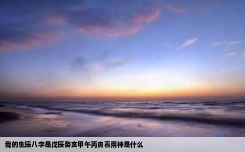 我的生辰八字是戊辰癸亥甲午丙寅喜用神是什么