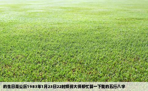 的生日是公历1983年1月23日22时烦劳大师帮忙算一下我的五行八字