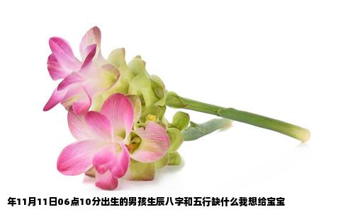 年11月11日06点10分出生的男孩生辰八字和五行缺什么我想给宝宝
