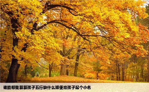 谁能帮我算算孩子五行缺什么顺便给孩子起个小名