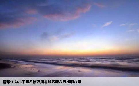 请帮忙为儿子起名最好周易起名配合五格和八字