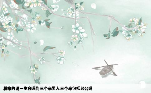 算命的说一生会遇到三个半男人三个半包括老公吗