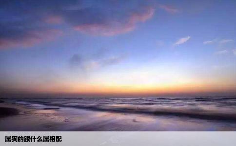 属狗的跟什么属相配