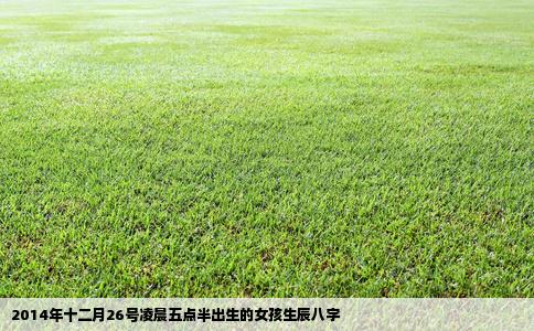 2014年十二月26号凌晨五点半出生的女孩生辰八字