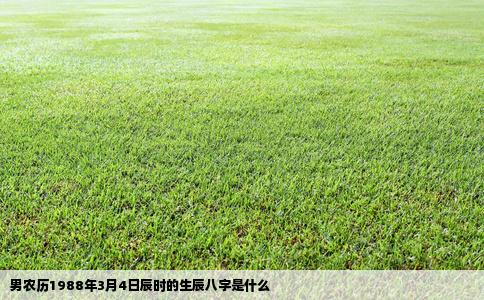 男农历1988年3月4日辰时的生辰八字是什么