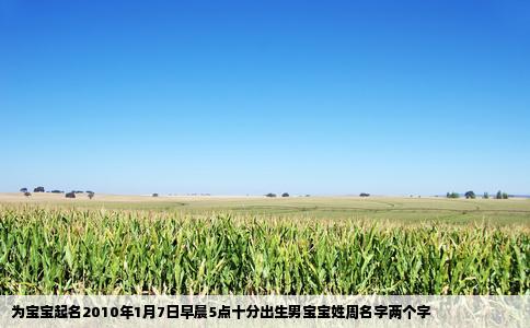 为宝宝起名2010年1月7日早晨5点十分出生男宝宝姓周名字两个字