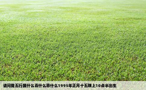请问我五行属什么喜什么忌什么1995年正月十五晚上10点半出生