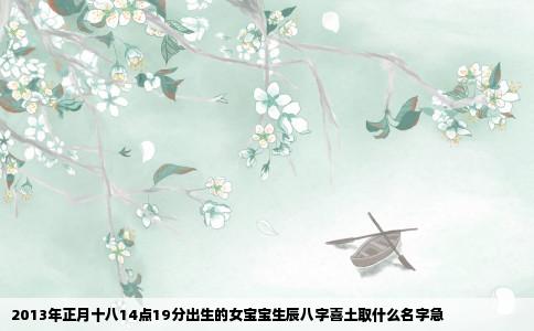 2013年正月十八14点19分出生的女宝宝生辰八字喜土取什么名字急