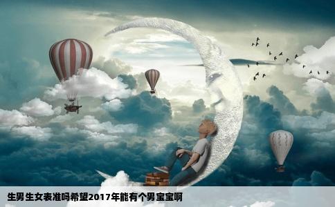 生男生女表准吗希望2017年能有个男宝宝啊