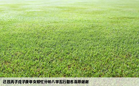 己丑丙子戊子庚申女帮忙分析八字五行取名喜忌谢谢