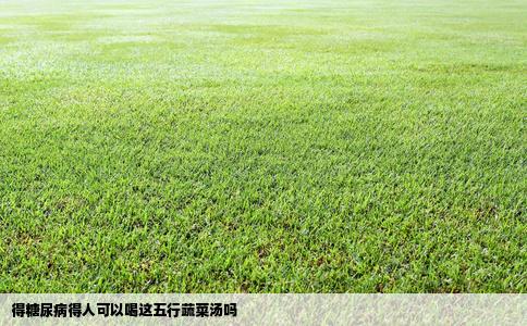 得糖尿病得人可以喝这五行蔬菜汤吗