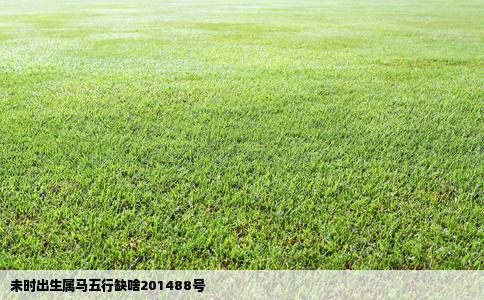 未时出生属马五行缺啥201488号