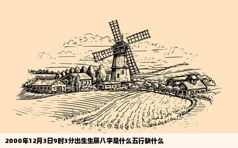 2000年12月3日9时3分出生生辰八字是什么五行缺什么