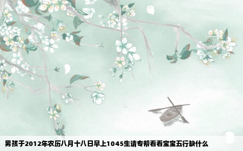 男孩于2012年农历八月十八日早上1045生请专帮看看宝宝五行缺什么