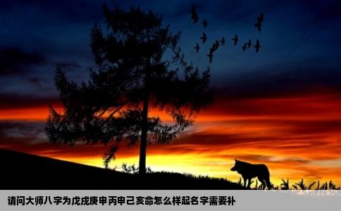 请问大师八字为戊戌庚申丙申己亥命怎么样起名字需要补