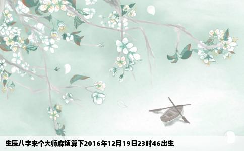 生辰八字来个大师麻烦算下2016年12月19日23时46出生
