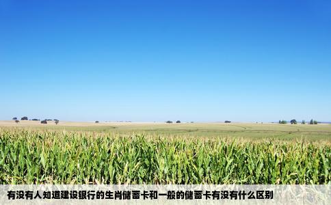 有没有人知道建设银行的生肖储蓄卡和一般的储蓄卡有没有什么区别