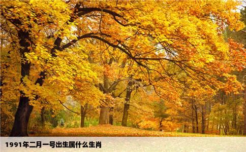 1991年二月一号出生属什么生肖