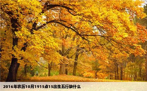2016年农历10月1915点15出生五行缺什么