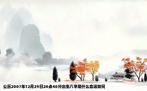 公历2007年12月29日20点40分出生八字是什么命运如何