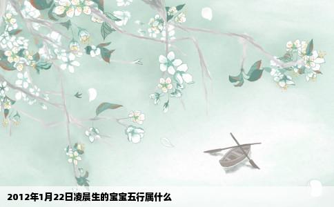 2012年1月22日凌晨生的宝宝五行属什么