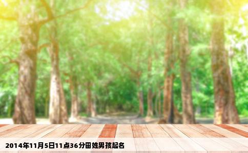 2014年11月5日11点36分田姓男孩起名