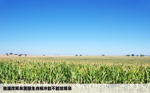 我属虎男友属猴生肖相冲能不能结婚急