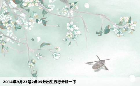 2014年9月23号2点05分出生五行分析一下