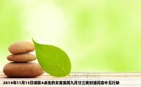 2014年11月15日凌晨4点生的女宝宝闰九月廿三寅时请问命中五行缺