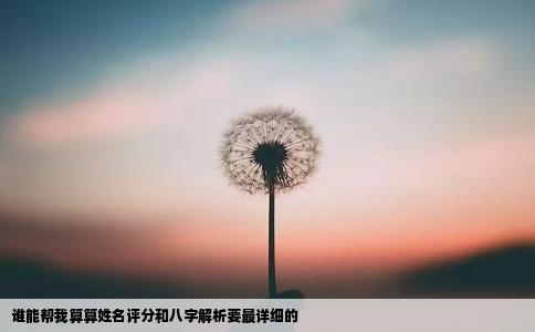 谁能帮我算算姓名评分和八字解析要最详细的